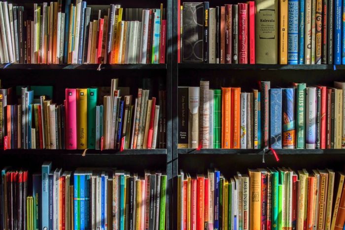 Stetige Weiterbildung